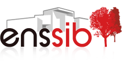 Logo ENSSIB